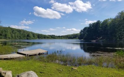 Wilderness Lake: Connecticut's Campground & RV Site